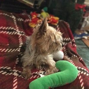 Meet your Posher, Julie